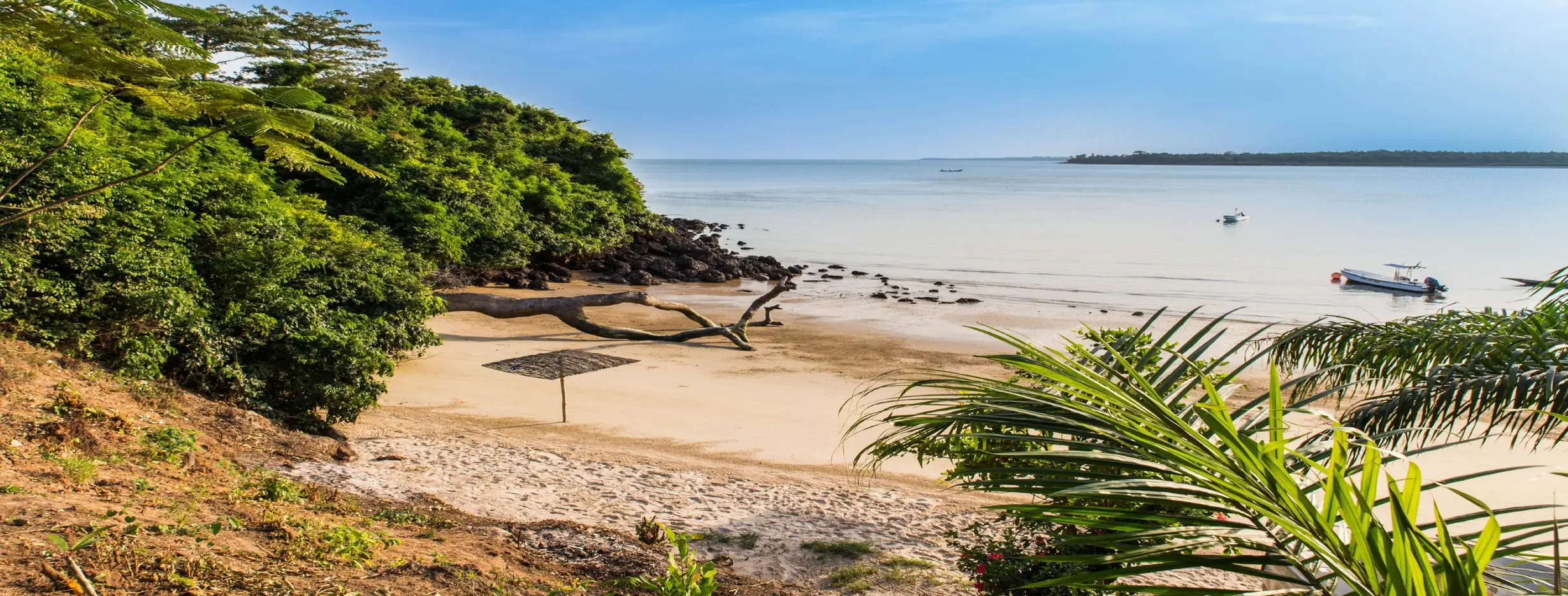 Image for Beach Paradise